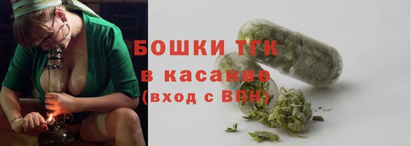 сатива Алексеевка