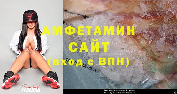 сатива Алексеевка