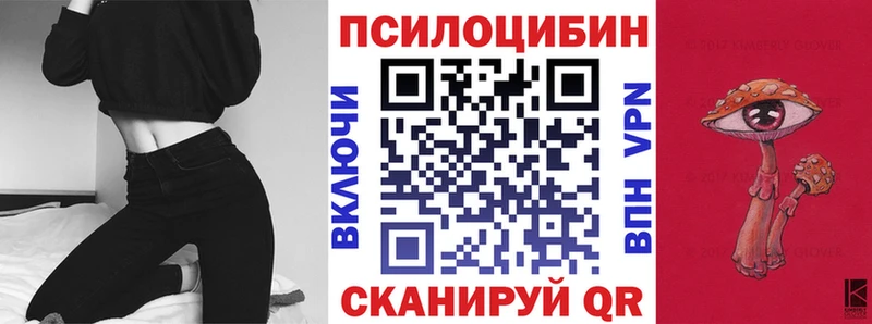ссылка на мегу сайт  Ясный  Псилоцибиновые грибы Psilocybe 