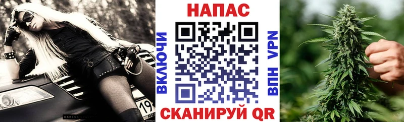 Бошки Шишки OG Kush  omg   Ясный 